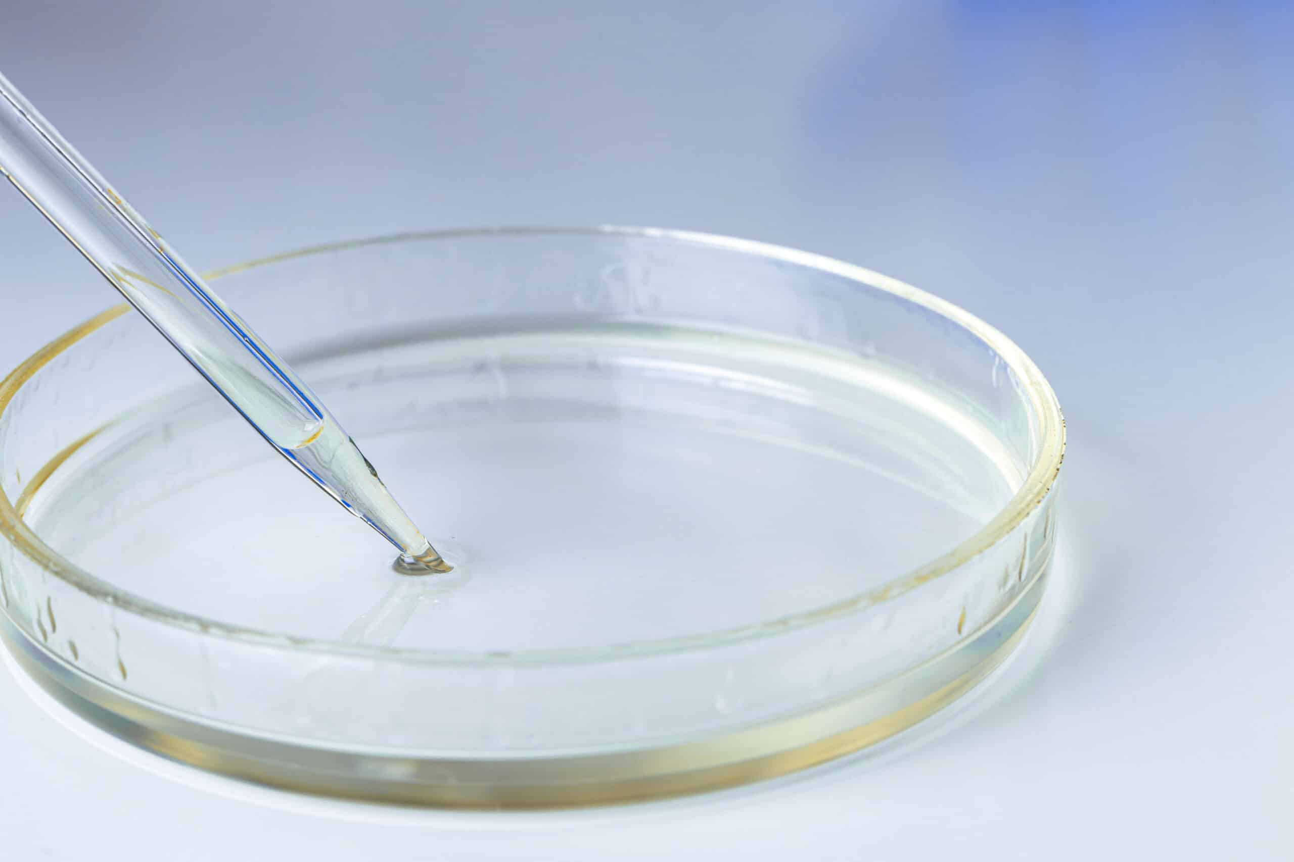 petri dish