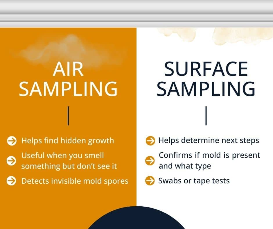 types of testing to consider if your house smells musty but yous see no mold