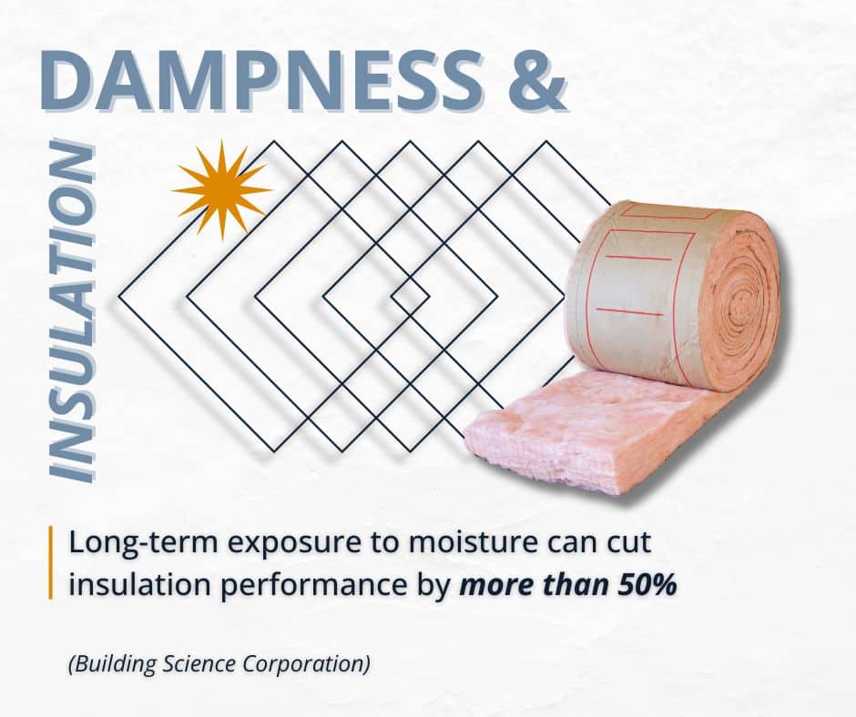 dampness and its impact on insulation in an attic