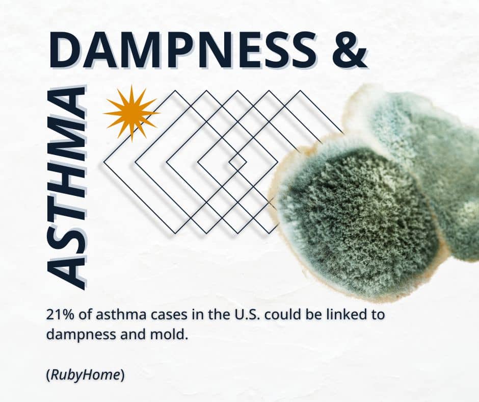 house smells musty no visible mold but asthma symptoms