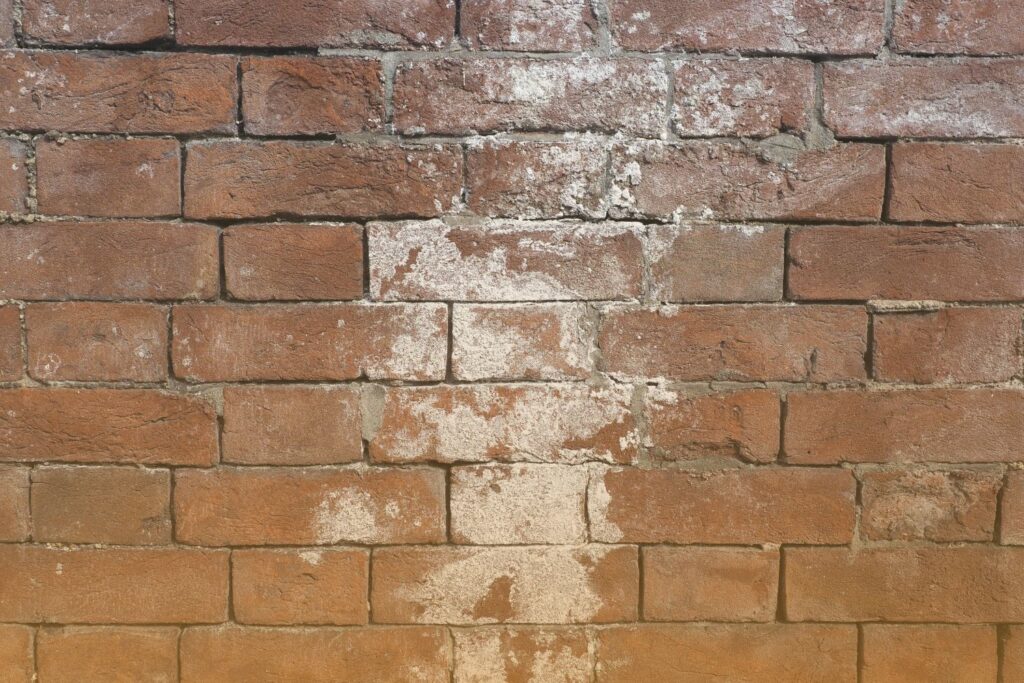 concrete efflorescence