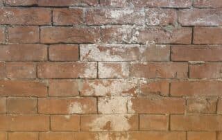 concrete efflorescence