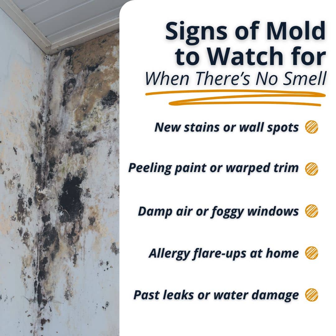 signs of mold when there is no smell