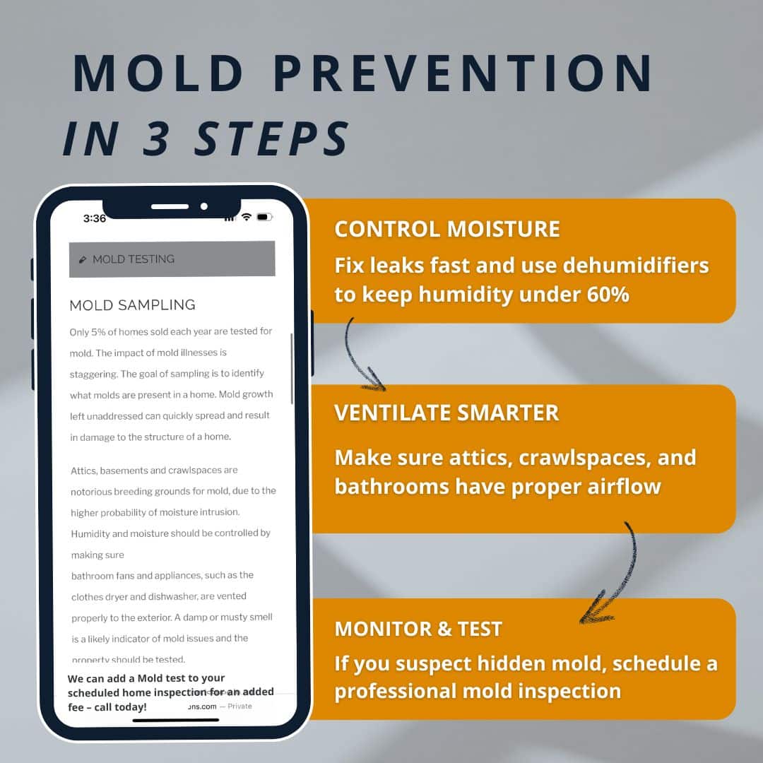 mold prevention and testing