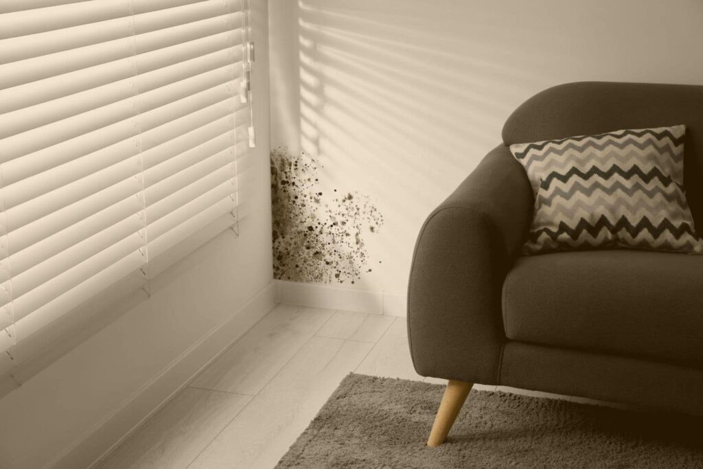 does mold always have a smell