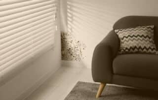 does mold always have a smell