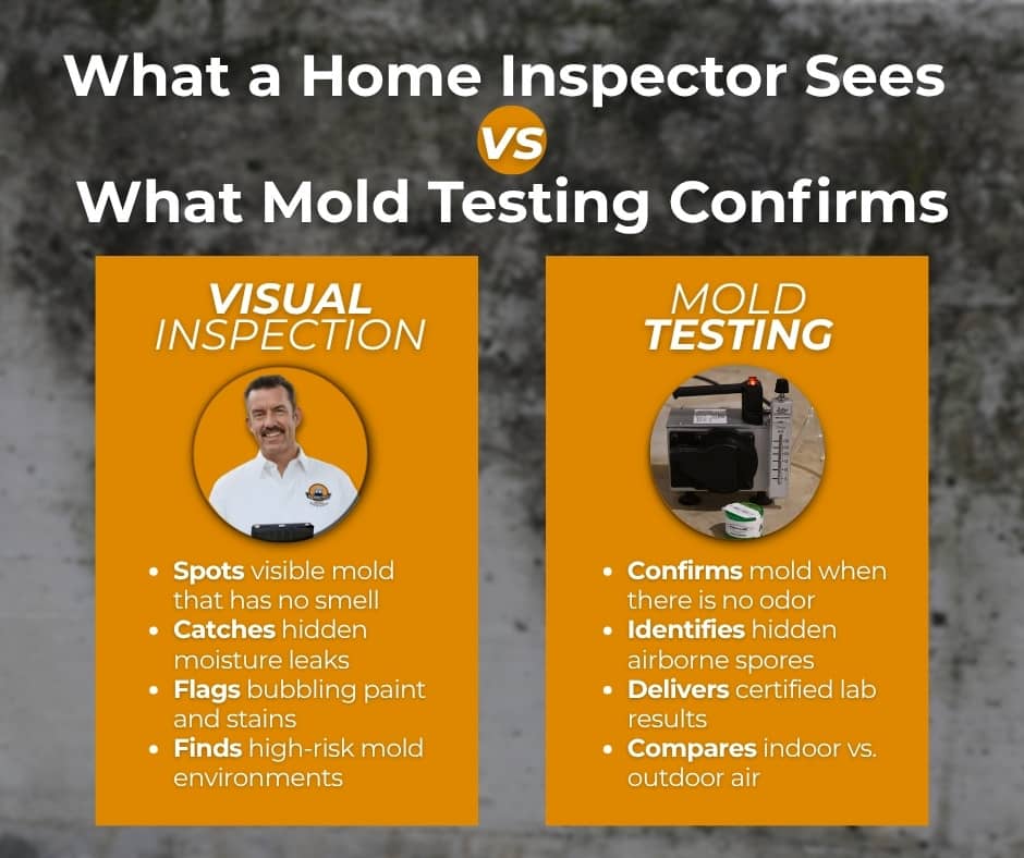 Comparison graphic showing how a Prospective Home Inspections visual walkthrough and mold testing work together to find mold colonies that have no smell.